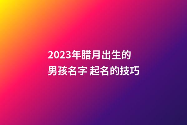 2023年腊月出生的男孩名字 起名的技巧